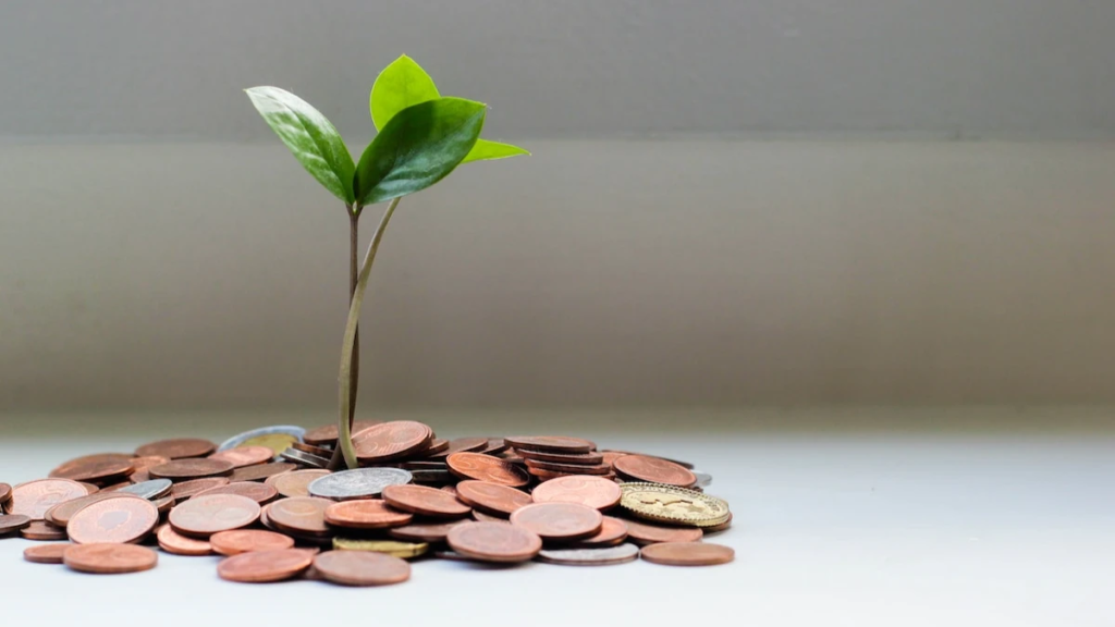 The Importance of Financial Management in Business