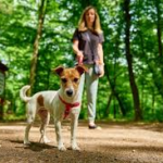 How to Handle Insurance and Liability in Dog Attack Cases